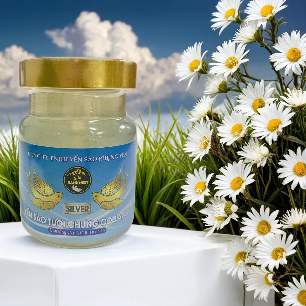 Yến sào tươi chưng collagen silver