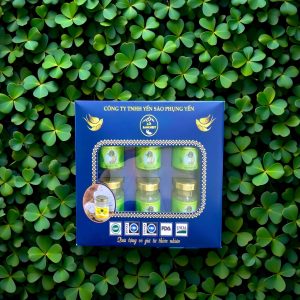 Combo 6 hũ yến sào tươi chưng nhân sâm silver