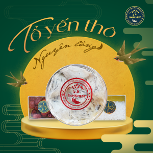 Tổ Yến Thô