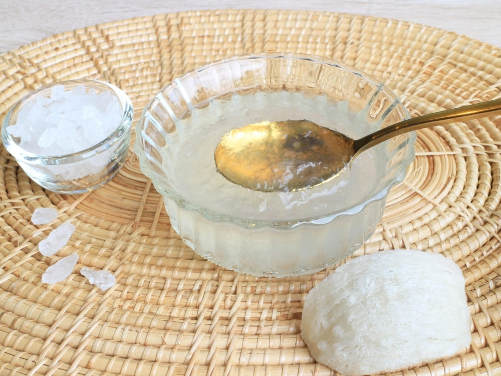 Cách Chưng Yến Với Đường Phèn Đơn Giản