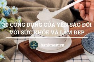 30 Công Dụng Của Yến Sào Đối Với Sức Khỏe và Làm Đẹp