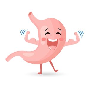 2. Yến sào giúp hỗ trợ chức năng dạ dày và đường ruột
